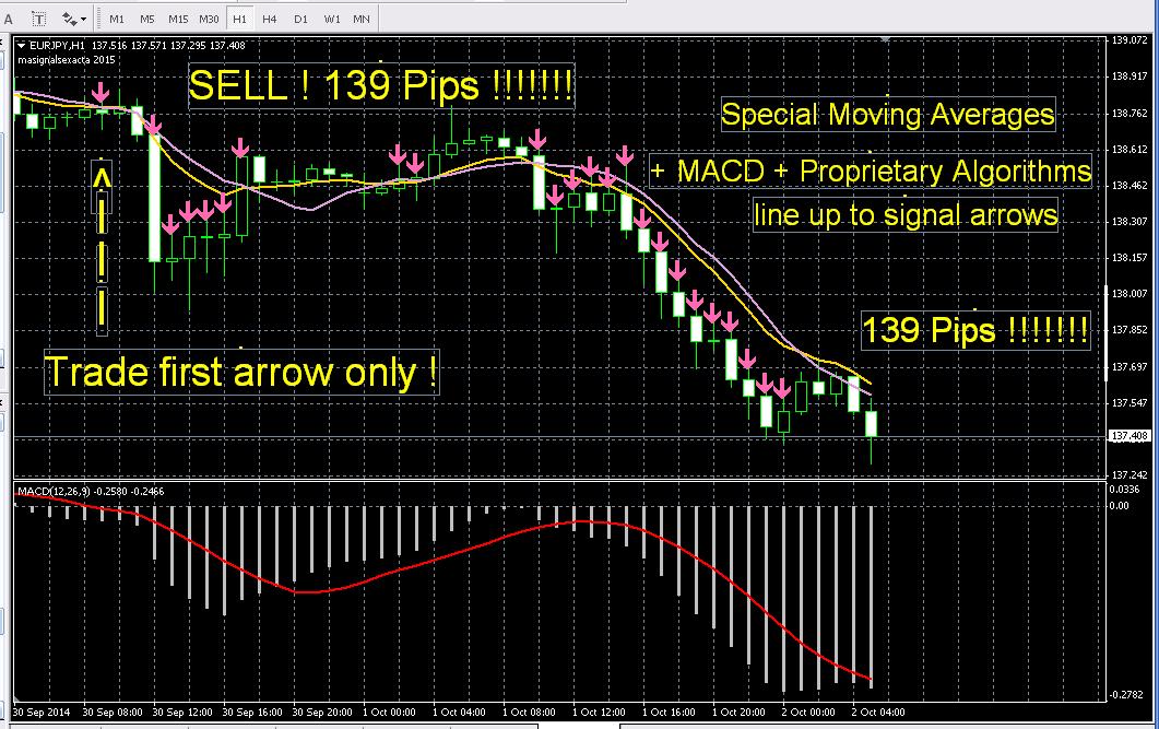 Forex indicator 100 accurate