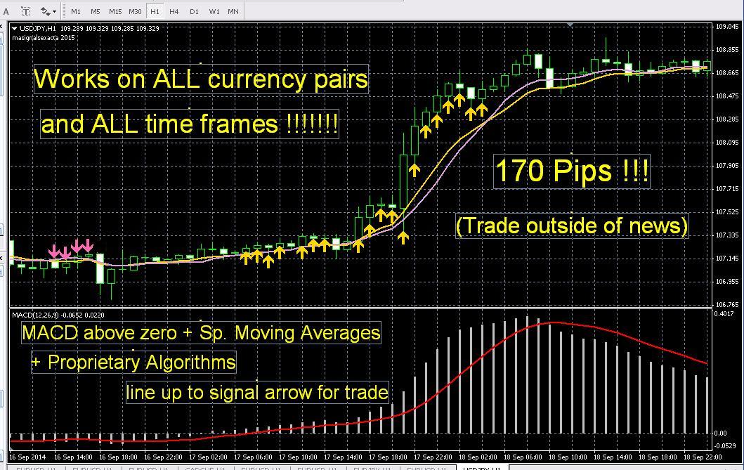 Accurate forex indicator arrows